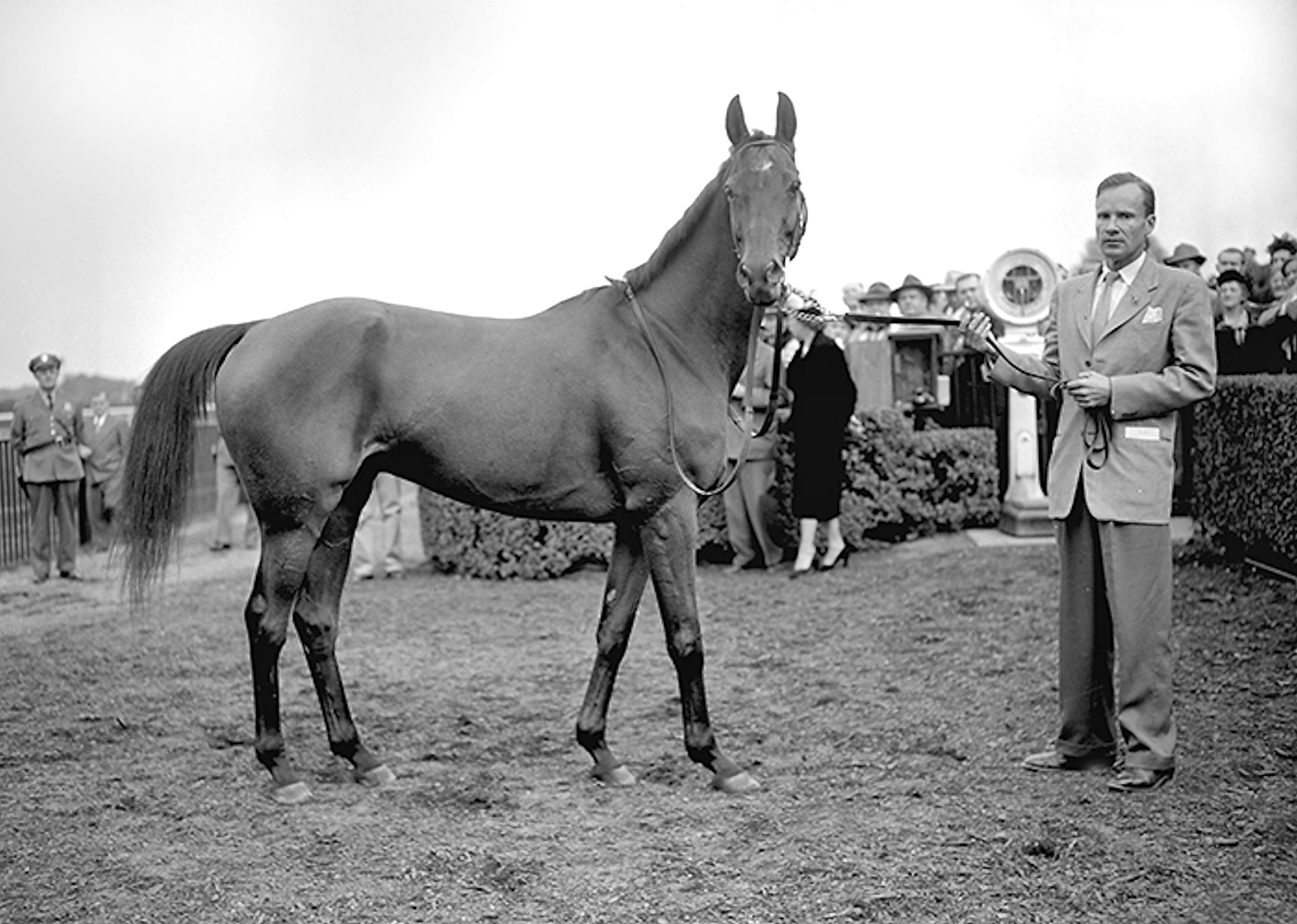 Elkridge (MD) National Museum of Racing and Hall of Fame